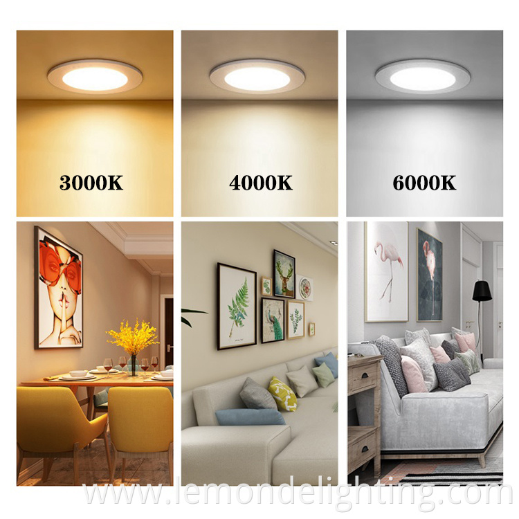 downlight spotlight